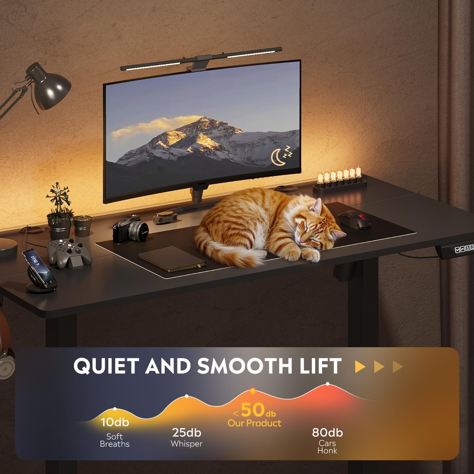 48 Inch Electric Standing Desk Adjustable Height Stand up Desk Computer Desk