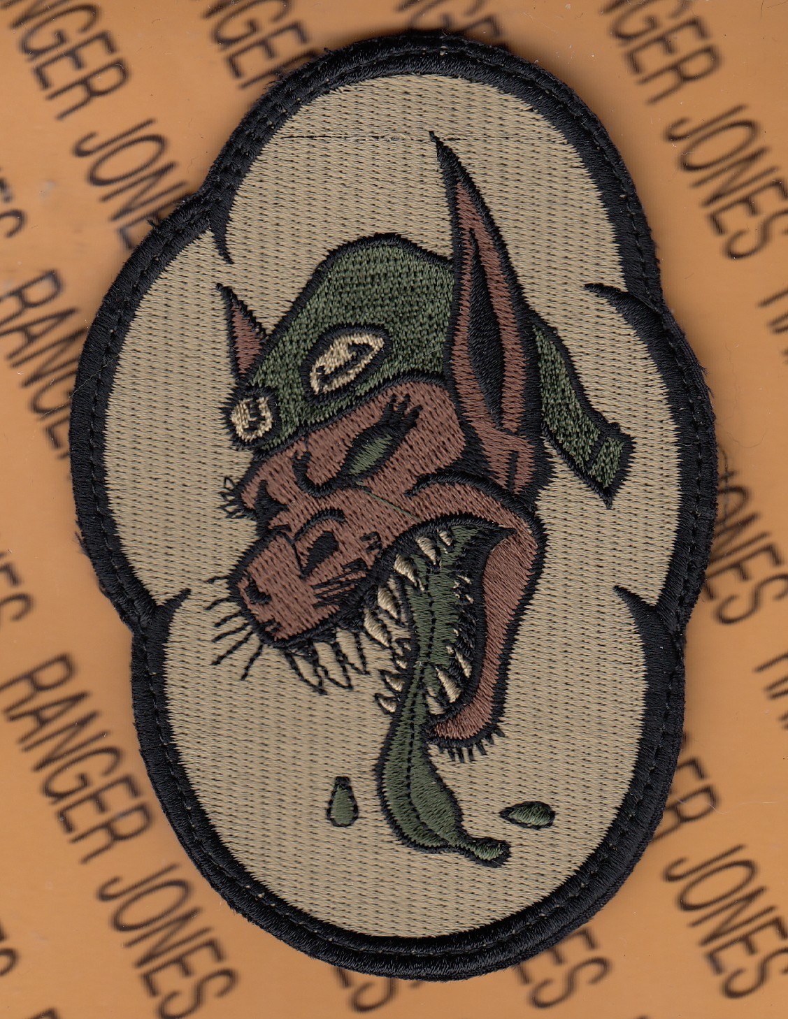 USAF Air Force 36th Fighter Sq FS Flying Fiends ~4.5" OCP with HOOK patch OH