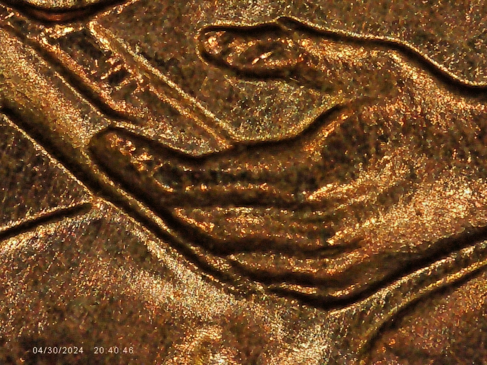 2009 P BU FY DOUBLED DIE REVERSE ERROR WDDR-005