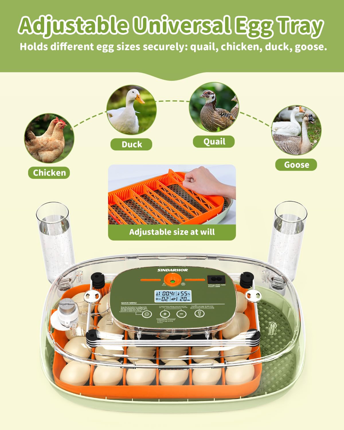 Egg Incubator for 24 Chicken Eggs with Automatic Turner, Digital Temperature Con