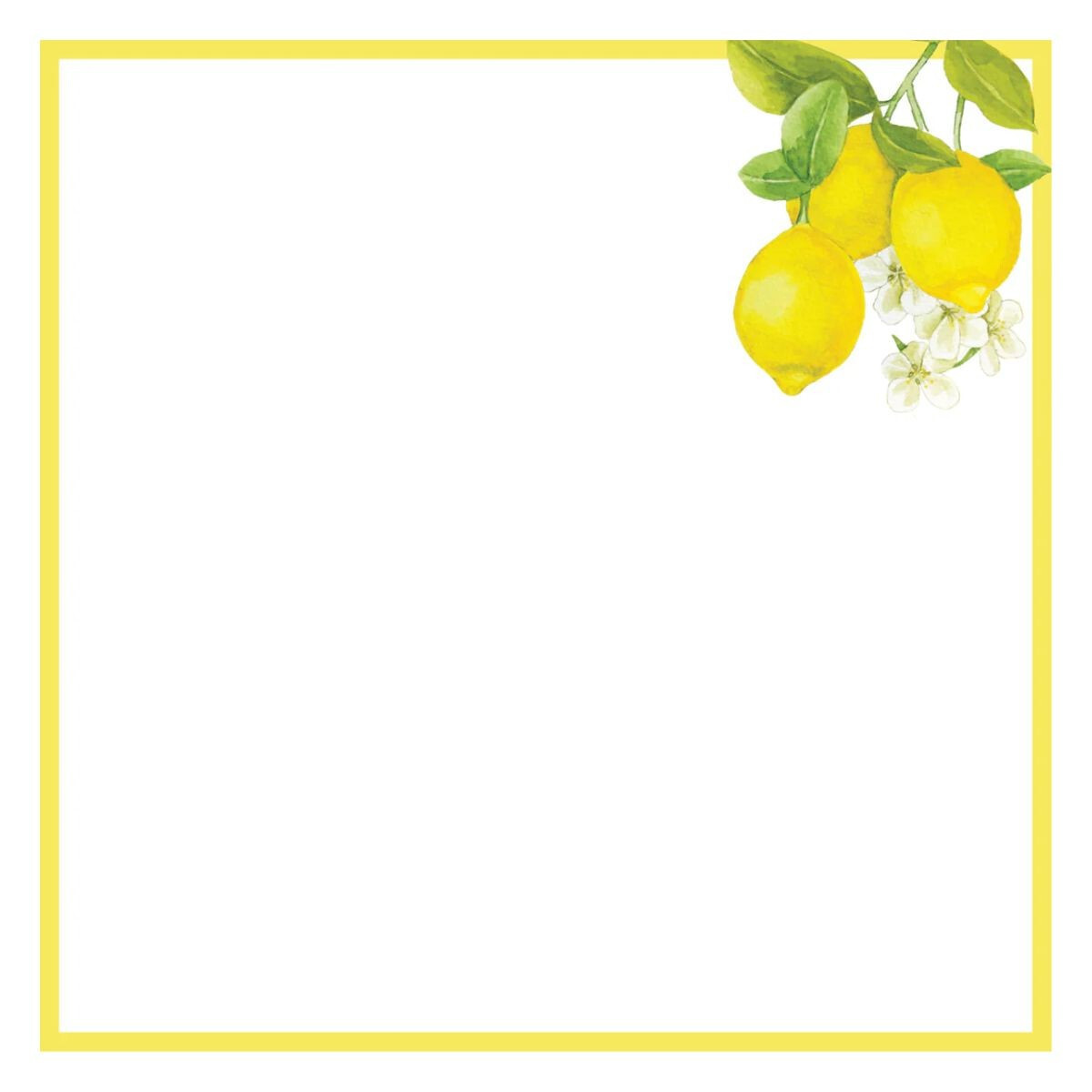 Amalfi Lemons Desk Notes by Peter Pauper box set with 250 sheets