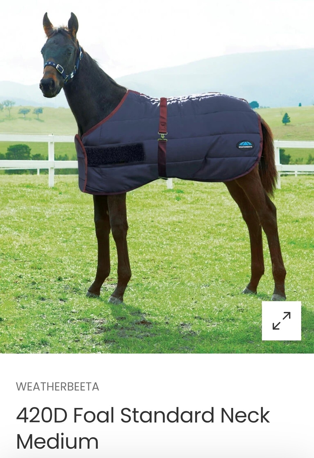 WeatherBeeta 420D Foal Standard Neck Medium Weight Blanket New