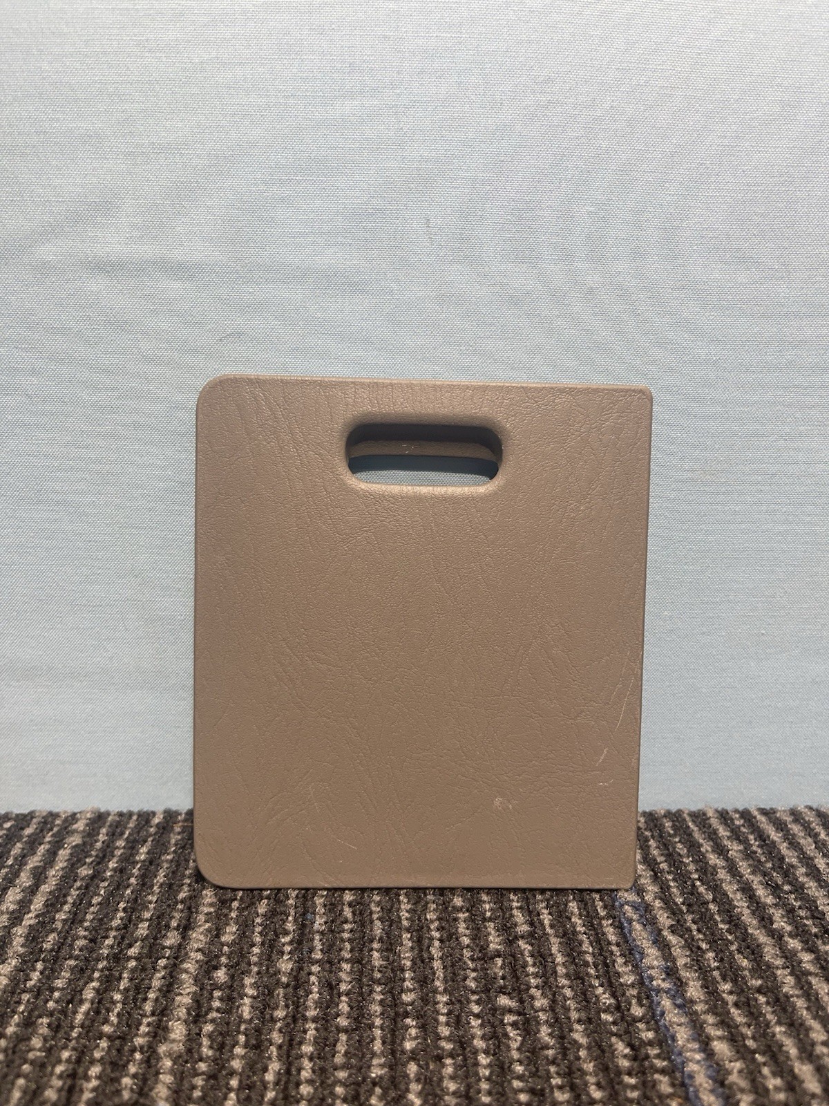 2002-2006 Toyota Camry Interior Fuse Lid Access Cover Gray OEM 55545-AA010
