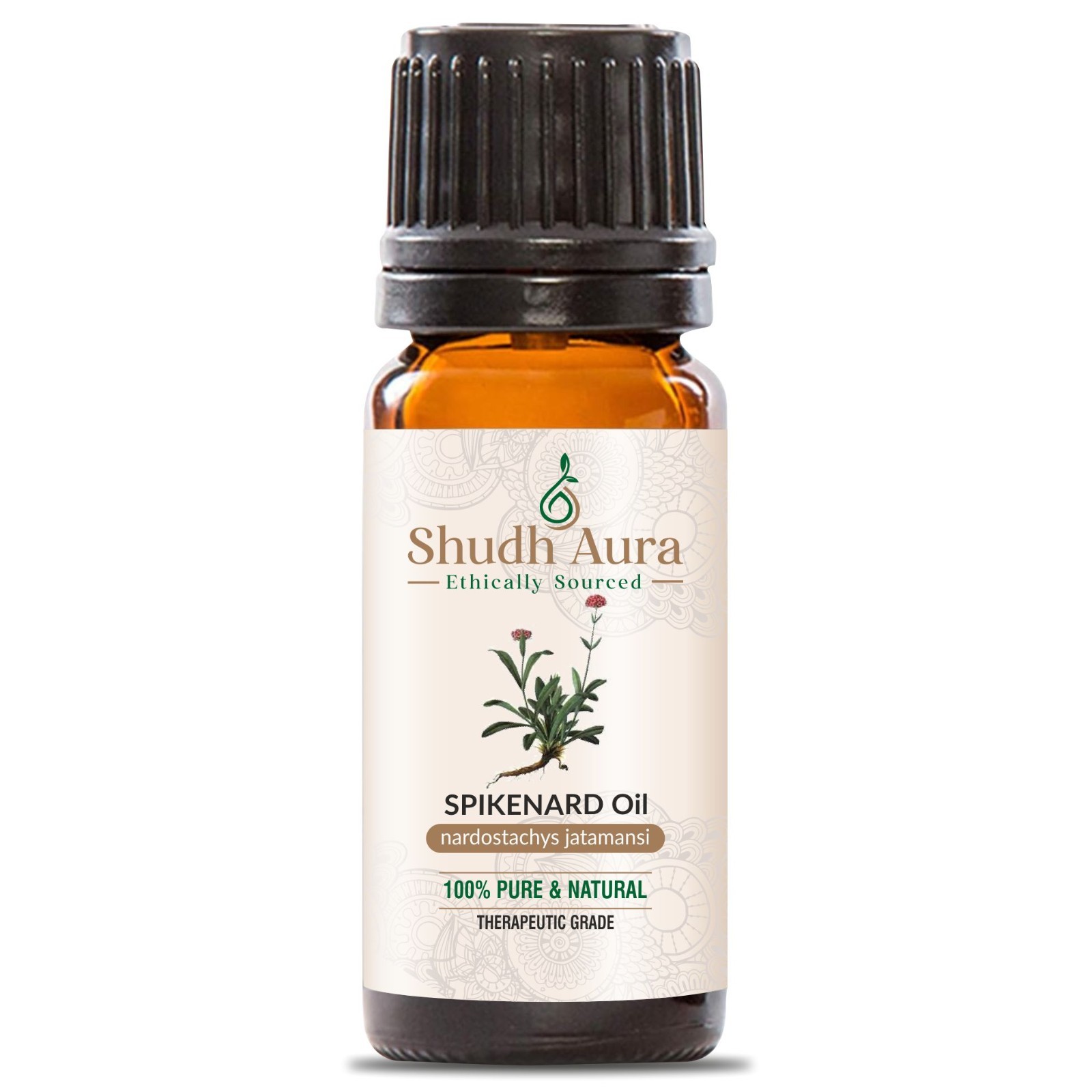 Spikenard (Jatamansi) Essential Oil | 100% Pure, Undiluted and Natural 5-1000ML