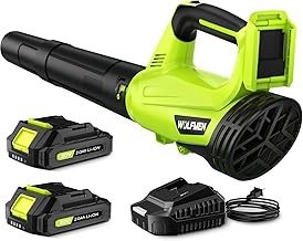 Leaf Blower, Electric Cordless Leaf Blower with 2 Batteries and Charger, 2 Speed