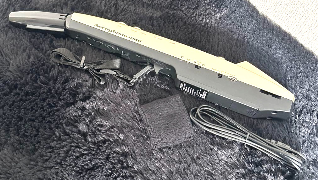 Roland AE-01 Aerophone Mini Digital Wind Instrument Tested Working From Japan