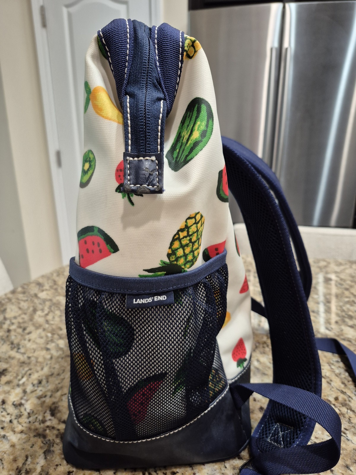 Lands' End Insulated Cooler Backpack Fruit Design