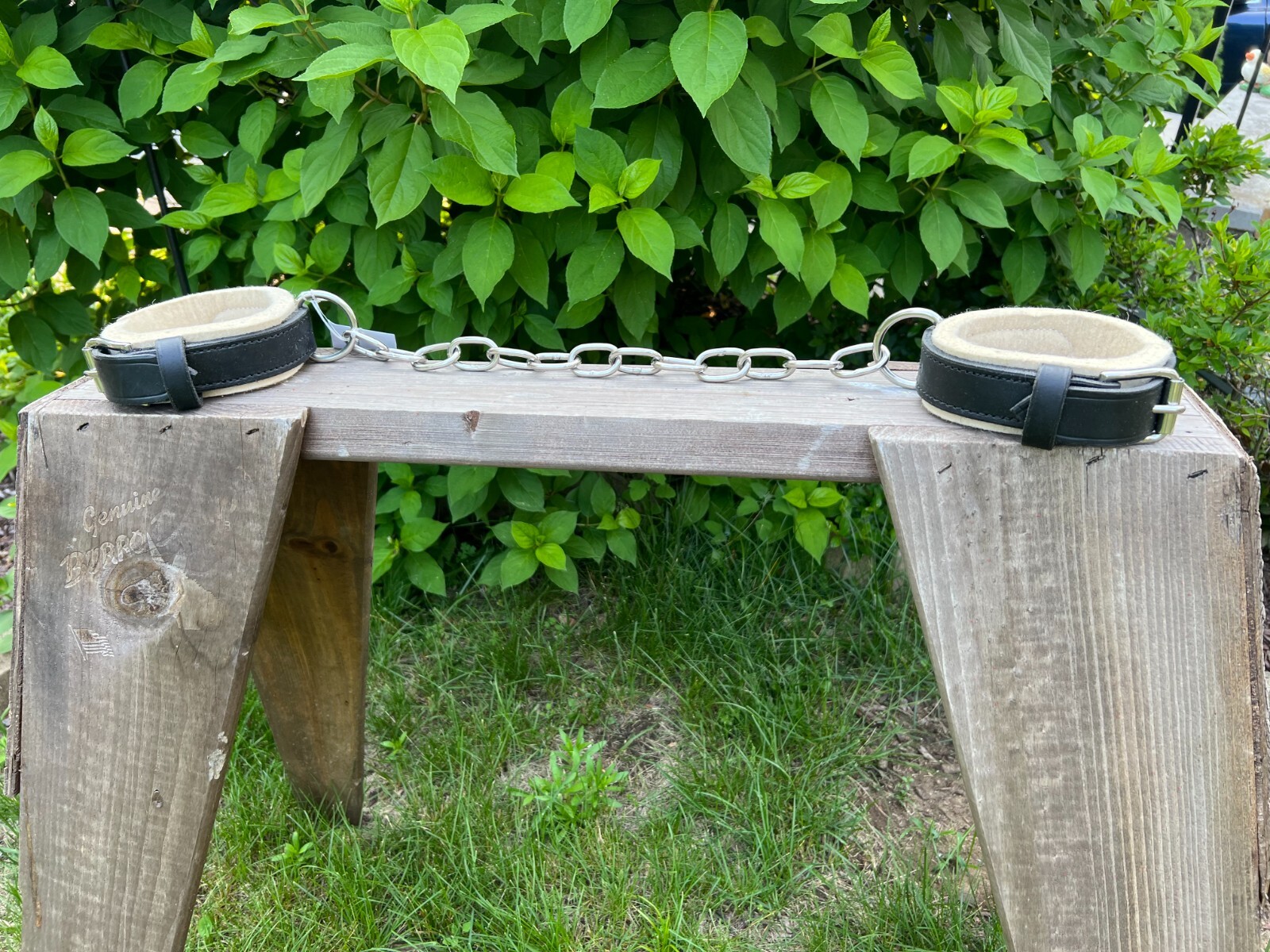 Leaders leather Hobbles With Chain For Horse/Equine! High Quality!