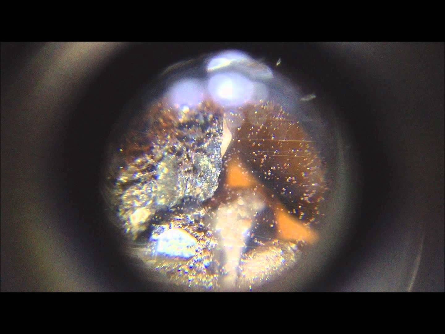 Cell Phone Clip Mini 60X Microscope Adjustable Focus Magnifier LED Stamp Fossil