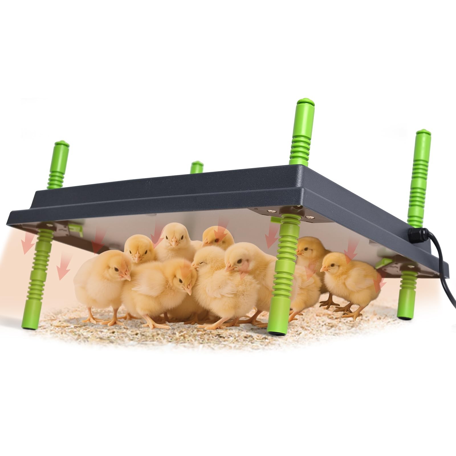 Chicken Brooder Heater Plate 16x22 Adjustable Height 50W