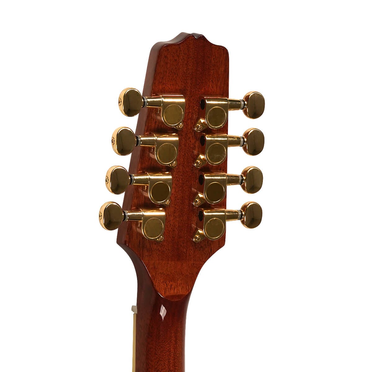 GOLD TONE OCTAVE MANDOLIN W/ HARD CASE