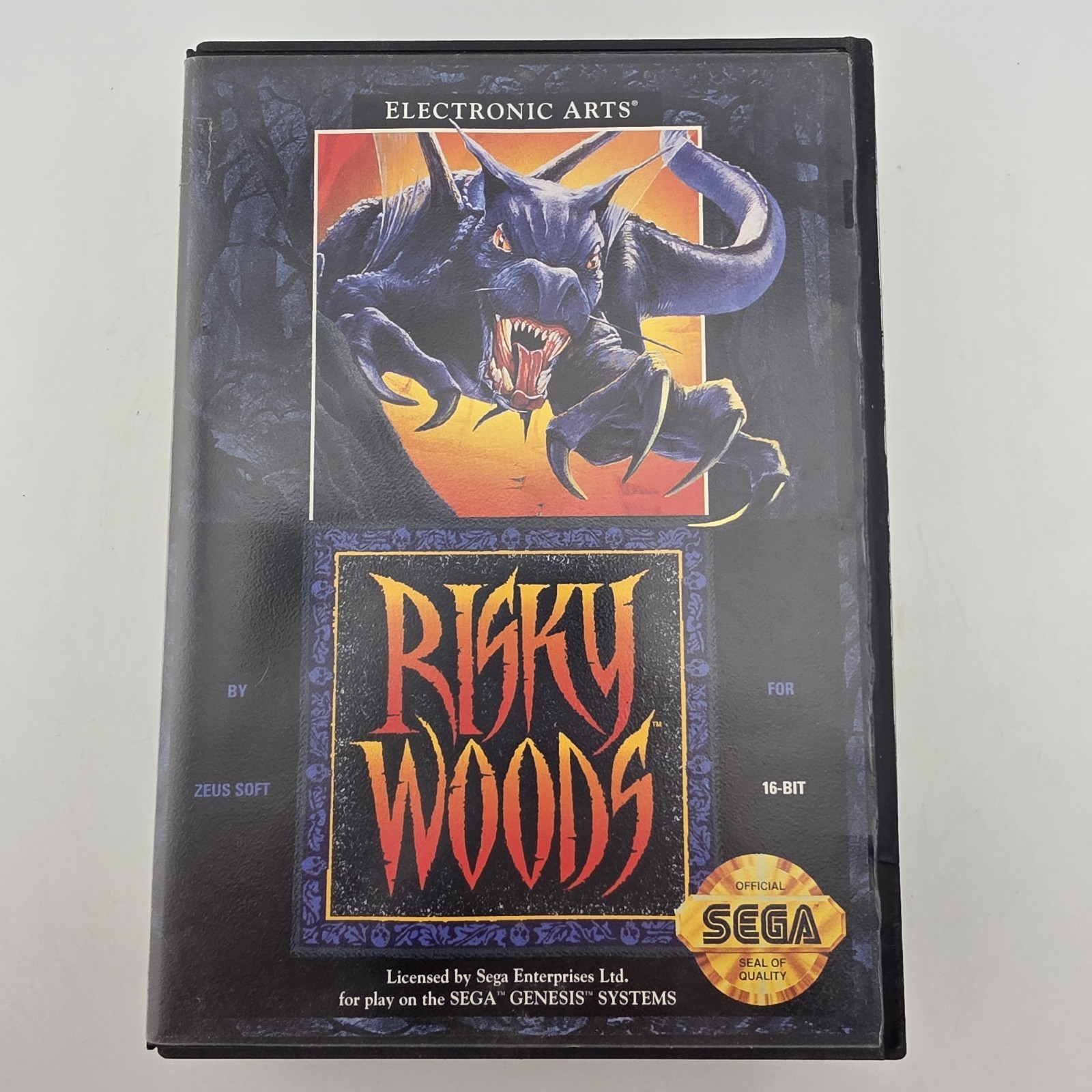 Risky Woods - Box Only - Sega Genesis - Authentic (No Game - No Manual)