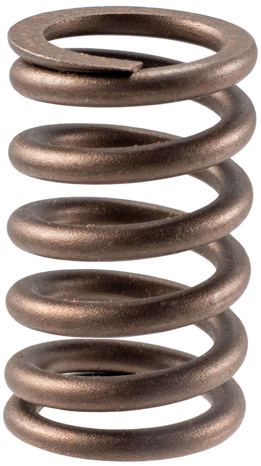 Engine Valve Spring-Stock Melling VS-490