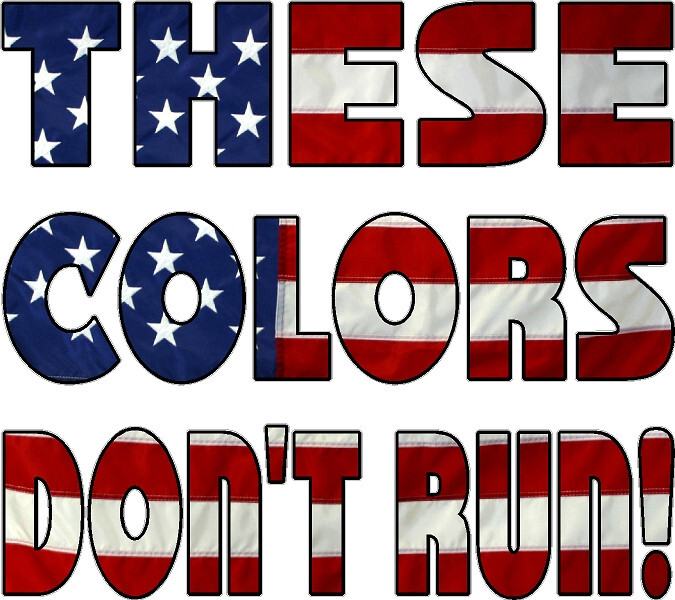 THESE COLORS DON'T RUN USA FLAG VINYL DECAL  FOR CAR TRUCK WINDOW NEW SMALL