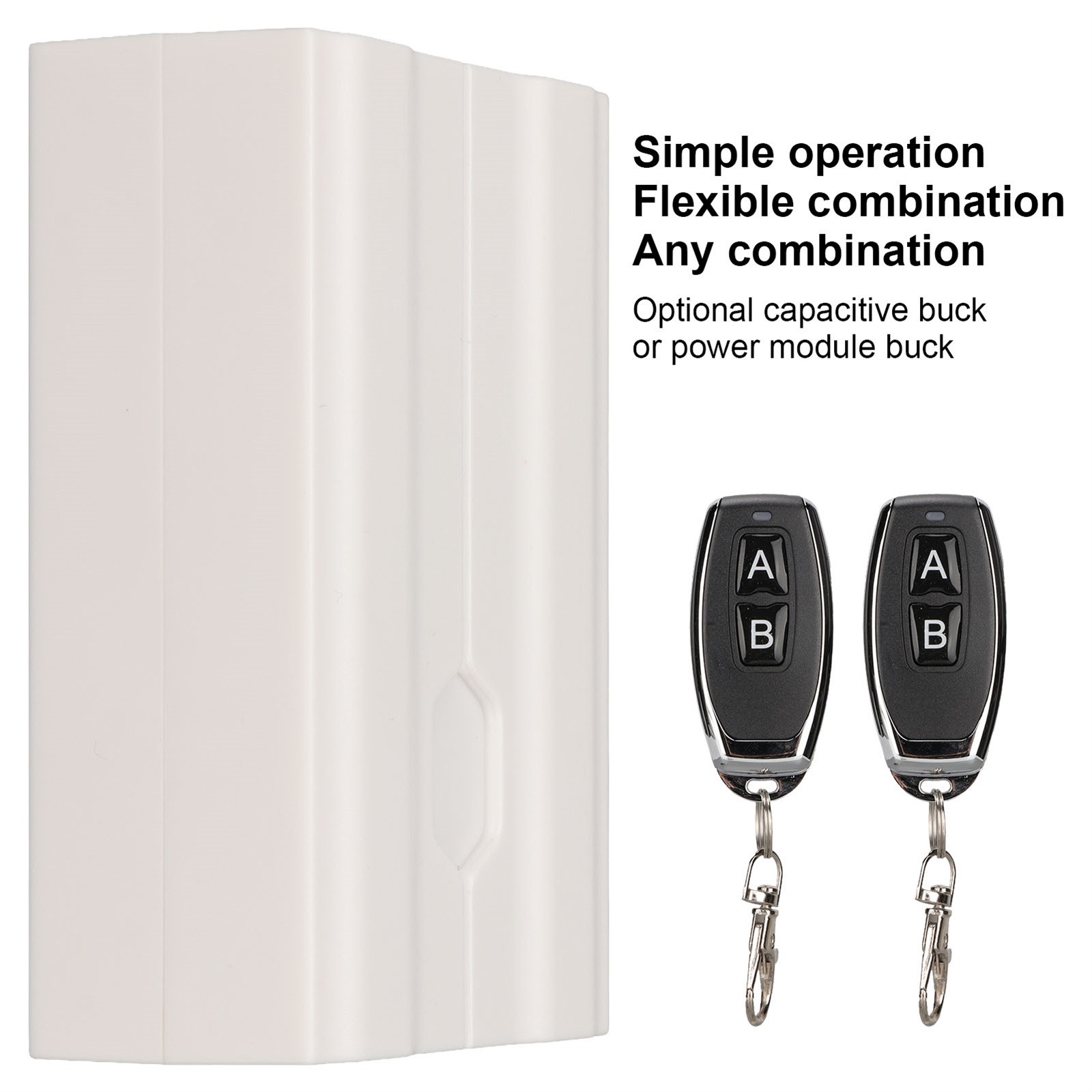 Wireless Control Switch 2 Channel Relay Remote Control Switch