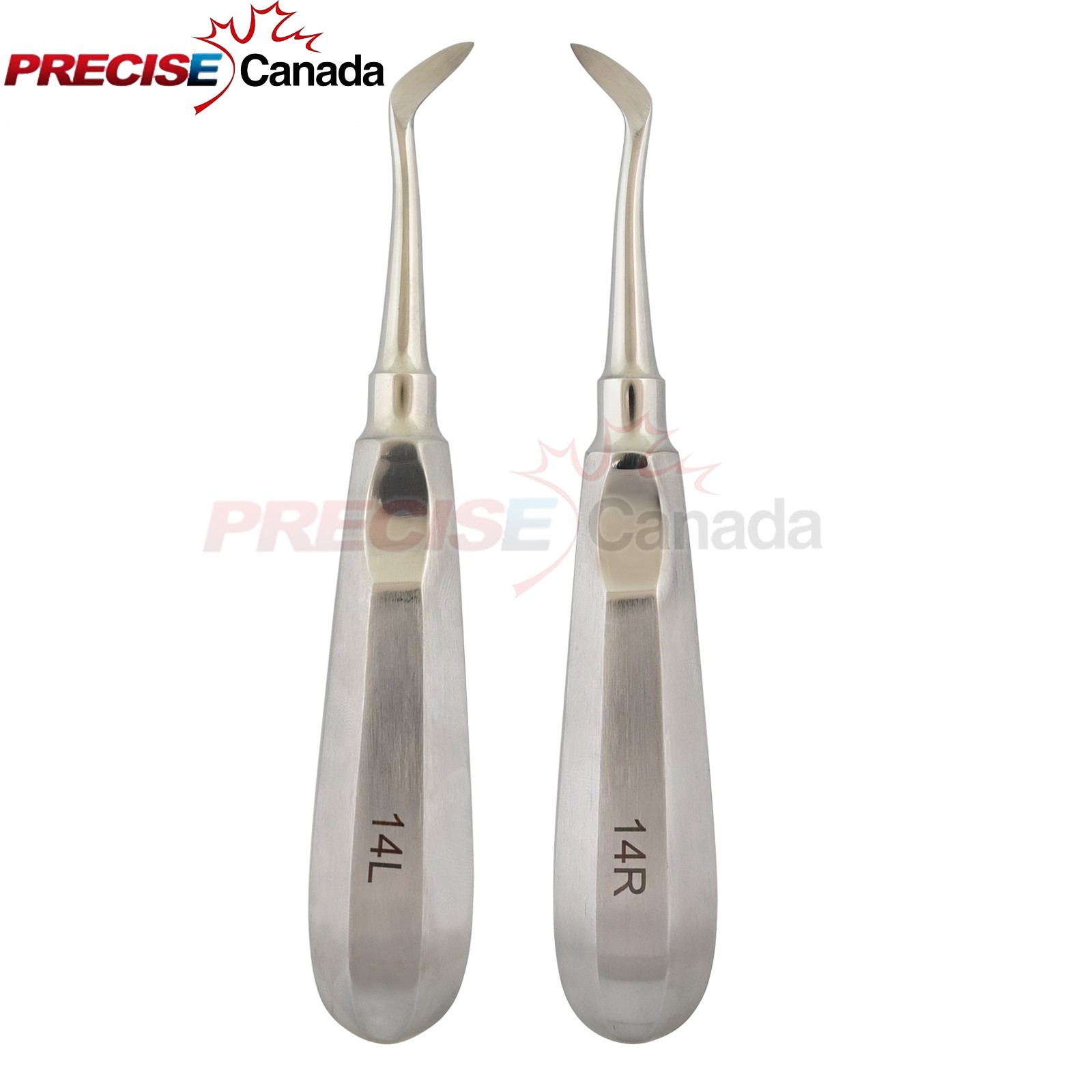 2 Pcs Dental Tooth Extraction Elevators 14R & 14L Right Left Molar Roots DN-2698