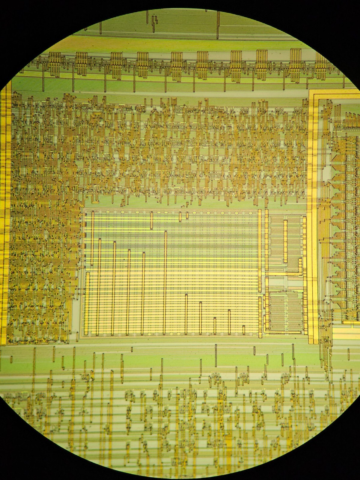 microscope slides
