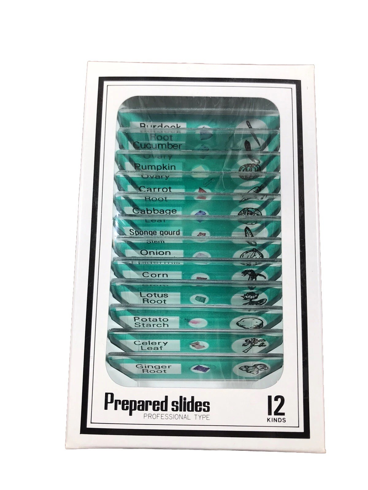 12 Pcs Prepared Microscope Slides￼ Vegetables￼ Science Teachers Homeschooling