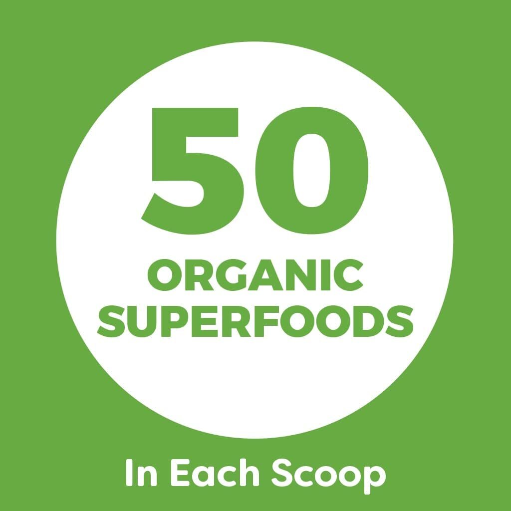 Orgain Organic Plant Based Protein Powder, Vegan, Non-GMO, Gluten Free, 1 Count,