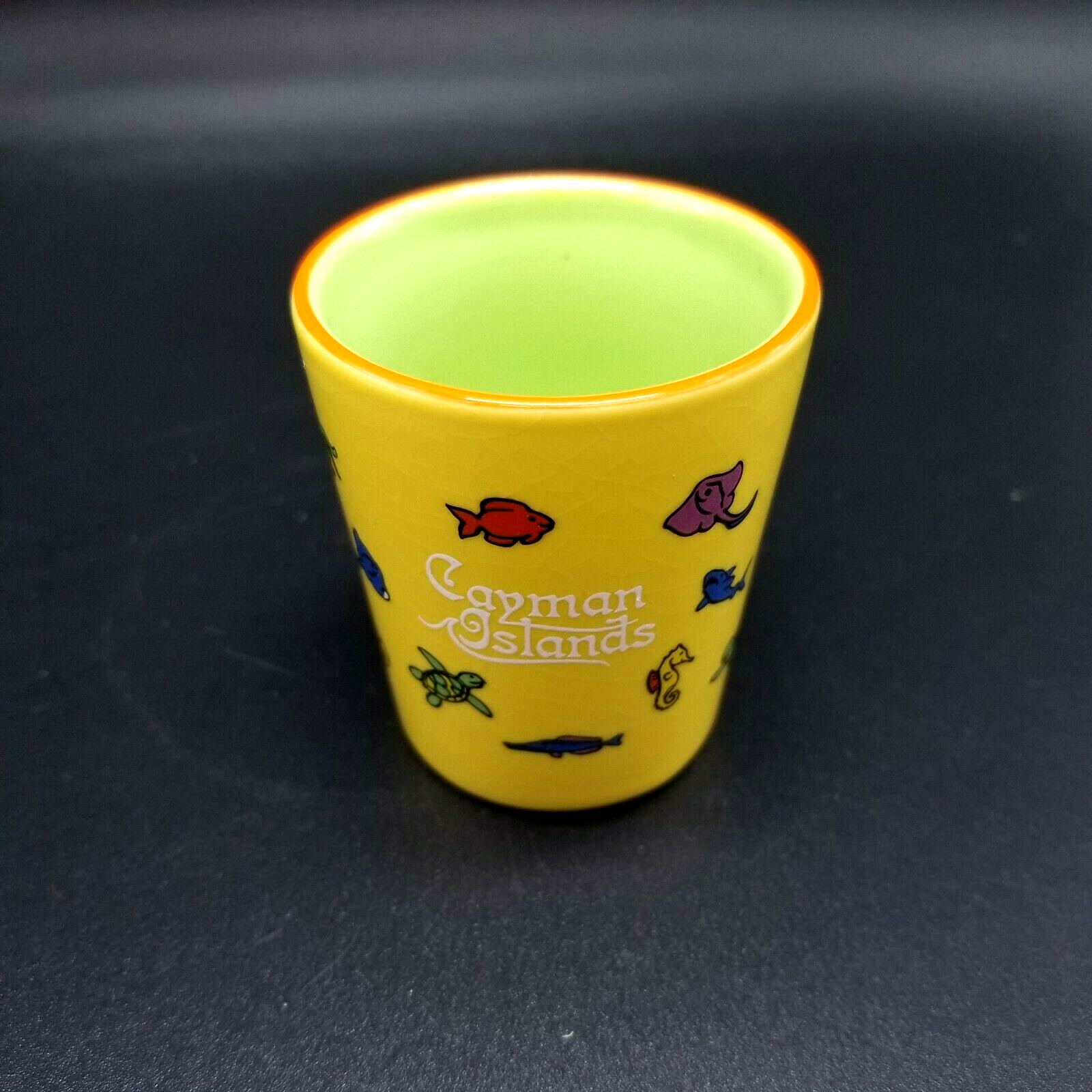 Cayman Islands Scene Shot Glass