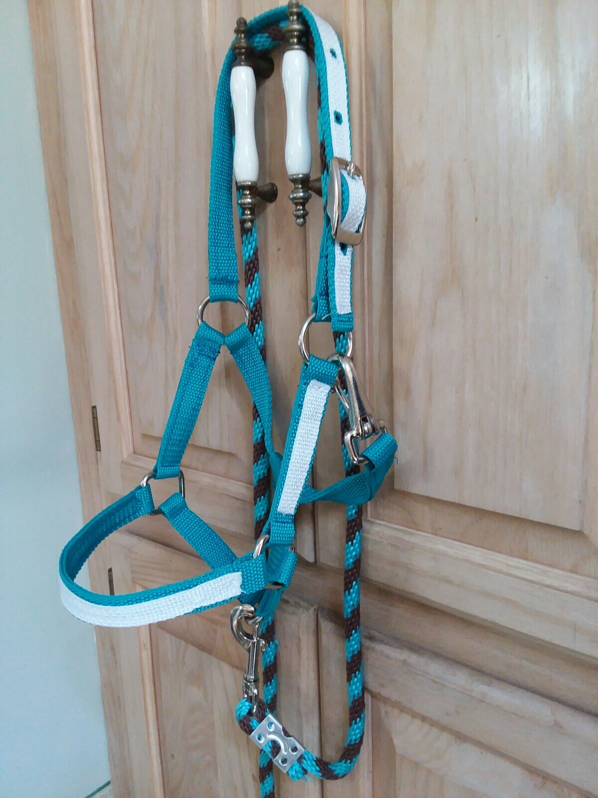New Nylon Halter foal Horse mini pony teal blue w/white overlay w/lead