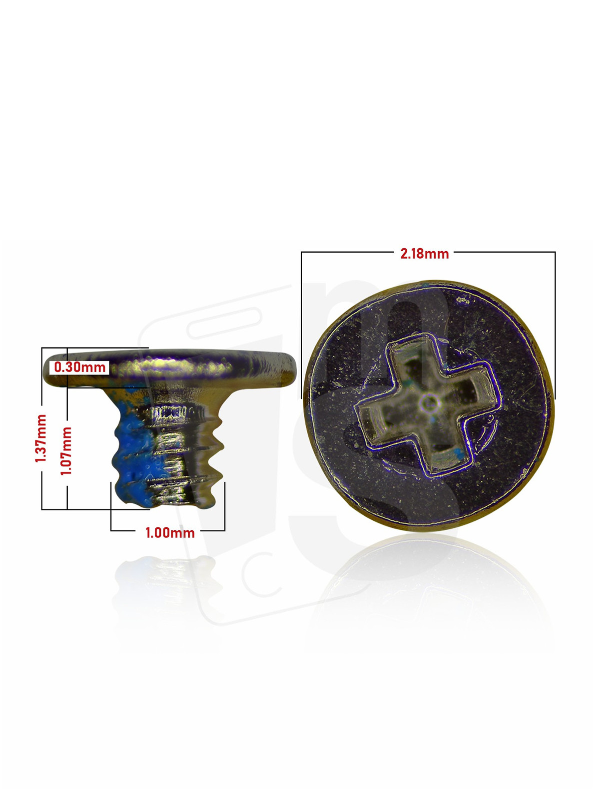 Replacement Screw Box 2.0 Refill [ 2S0 ] (100 Pack)