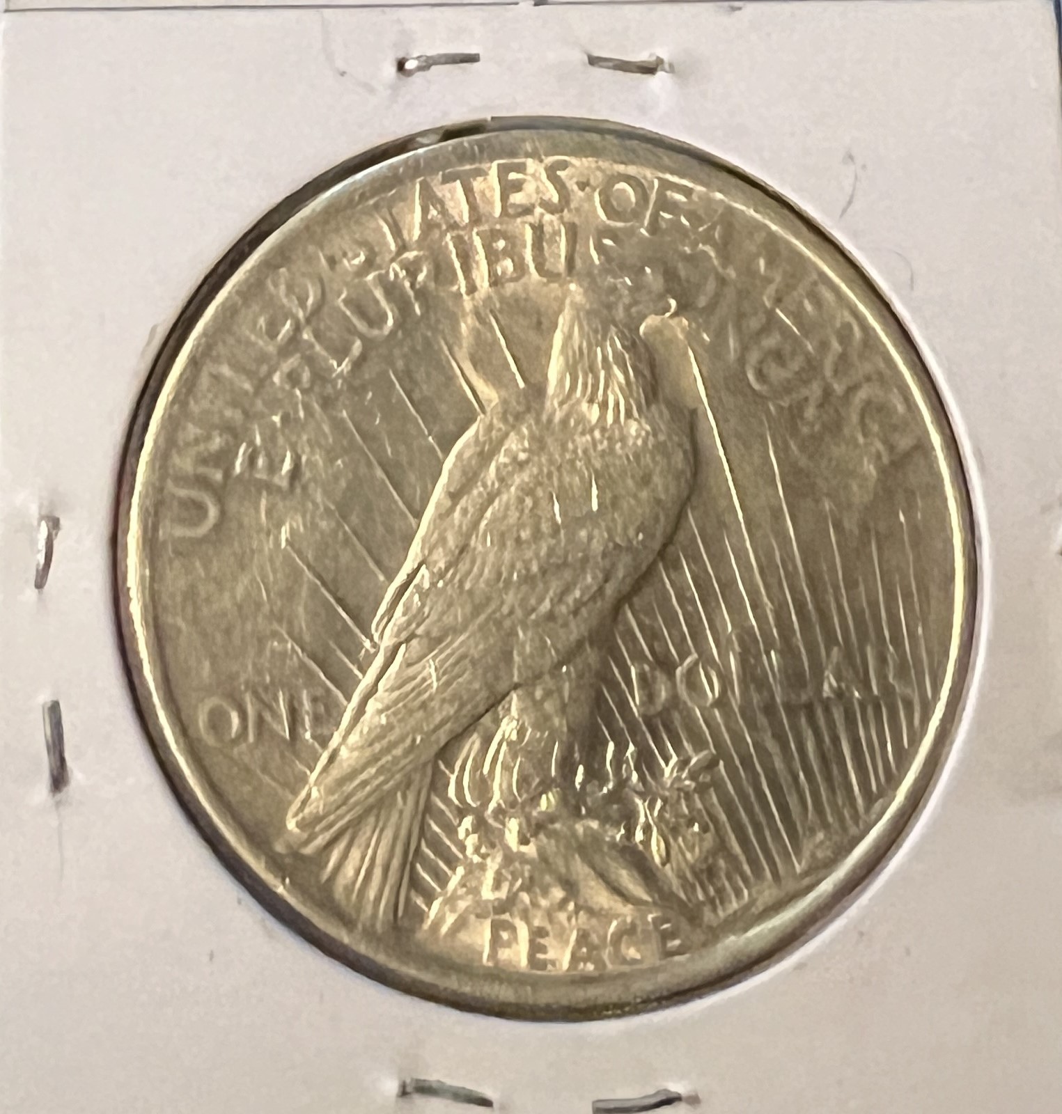 1923 PEACE SILVER DOLLAR ALMOST UNCIRCULATED++ ACTUAL COIN #9239