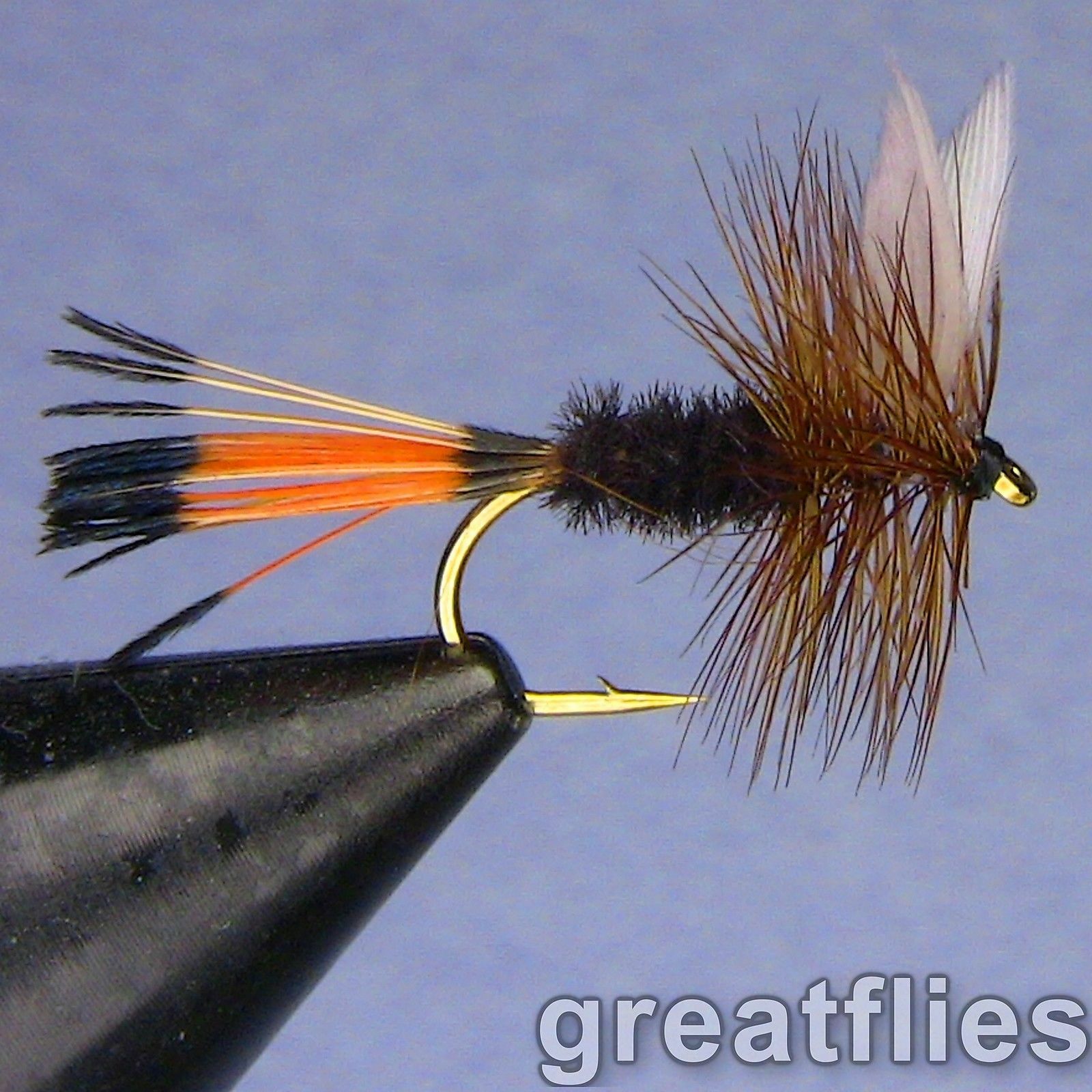 1 dozen (12) - Rio Grande King