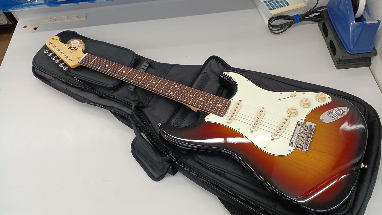 FUJIGEN NST100RAL-3TS 01OR Electric Guitar