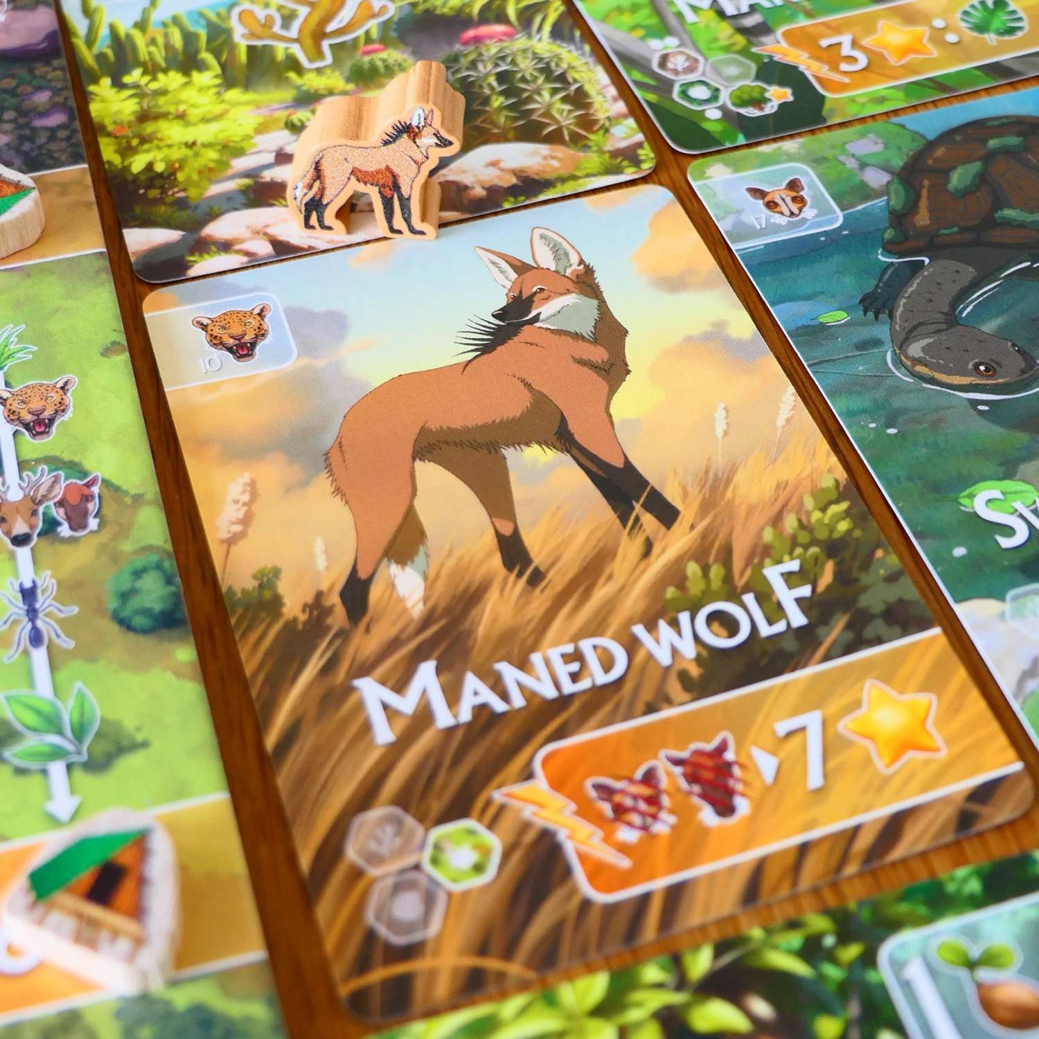 Rewild: South America by Treecer - SEALED
