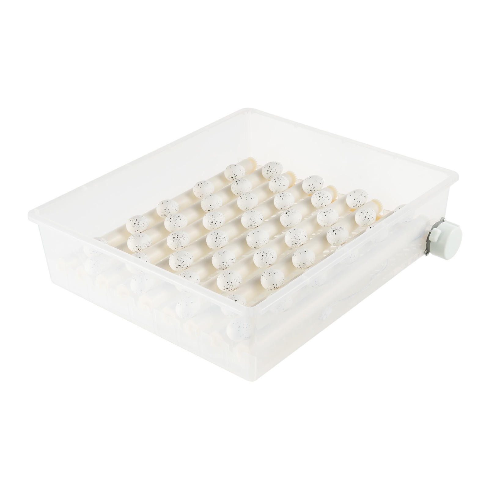 Egg Incubator 64 Eggs Fully Digital Automatic Hatcher Fits Hatching Chicken Farm