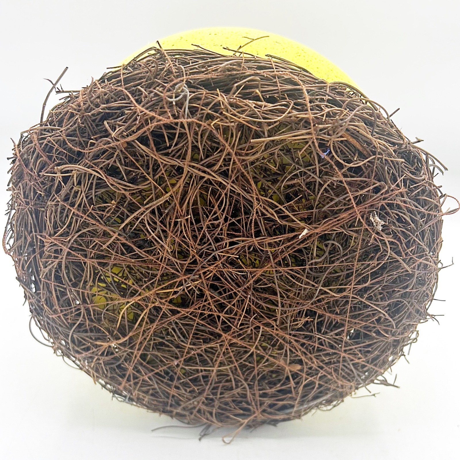 Yellow Cracked Egg Planter with Nest Base 5" H
