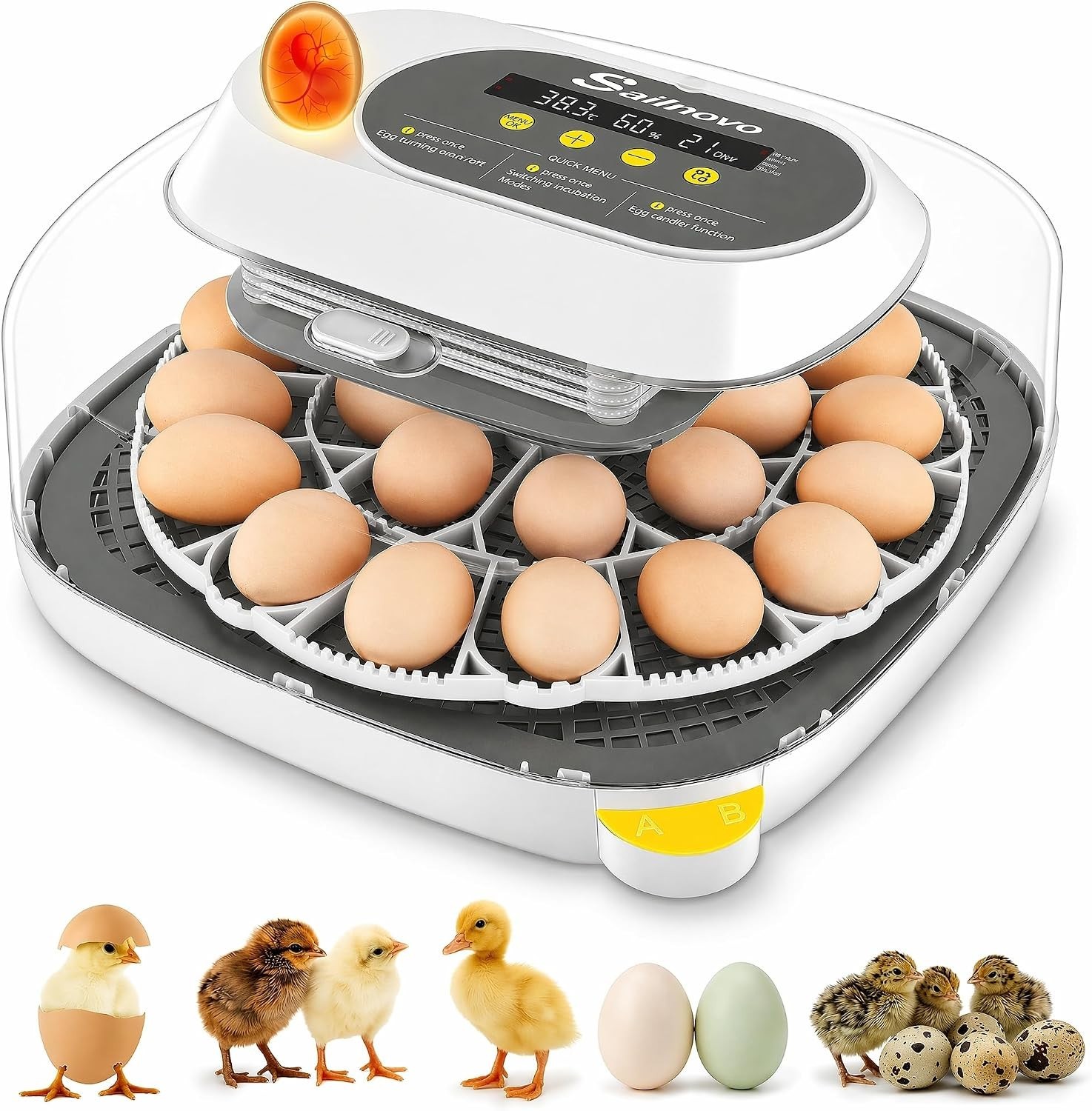 Sailnovo Incubator for 24 Eggs, 4 Modes Egg Incubator with Automatic Egg Turning