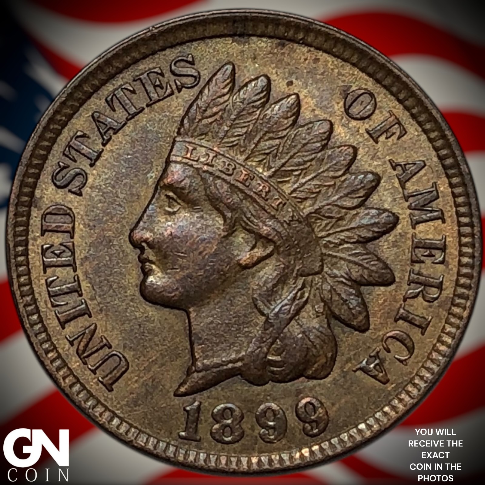 1899 Indian Head Cent Penny Z6821