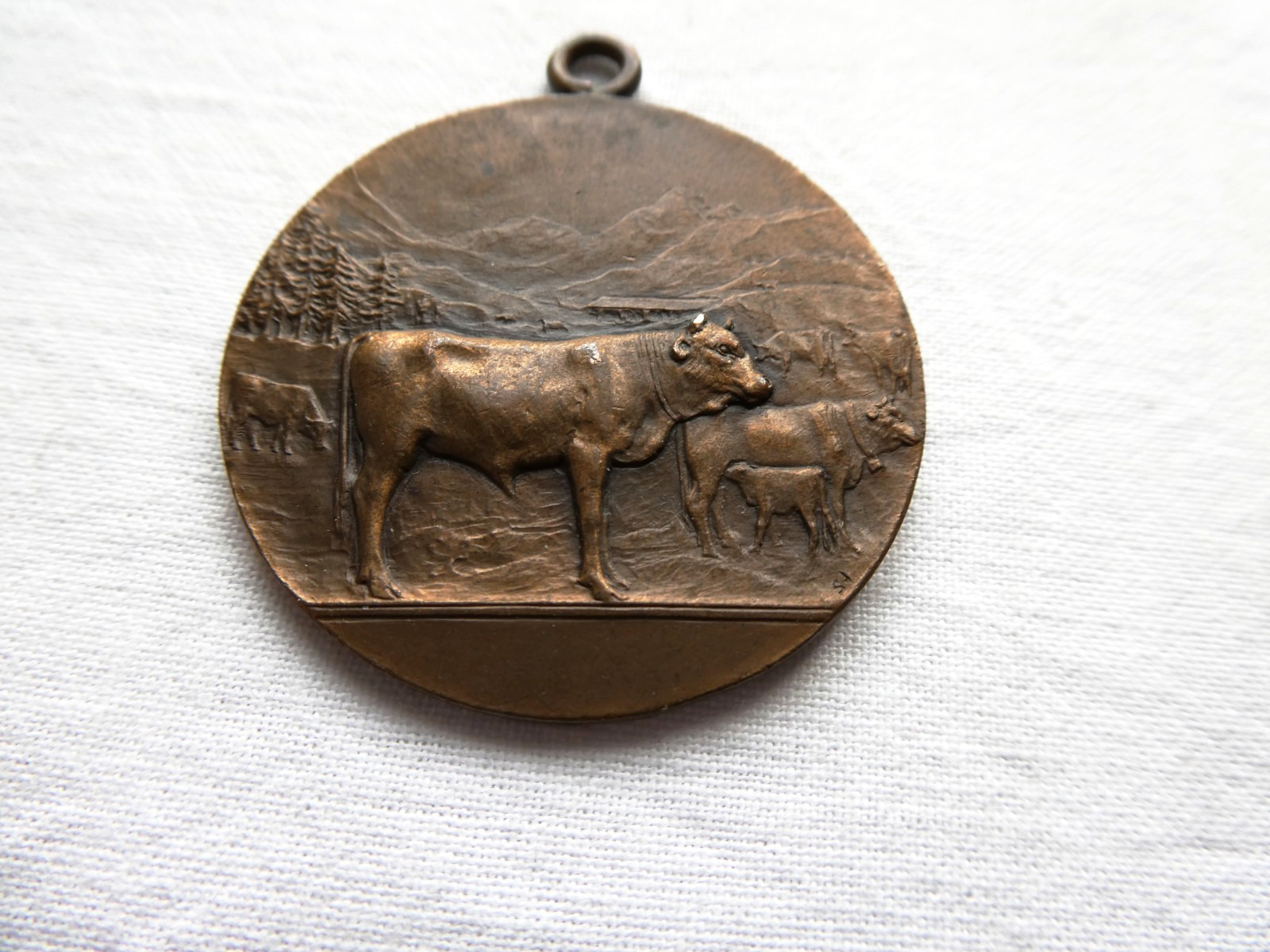 CONSORTIUM MEDAL MARKET CARPI NOVI SOLIERA MODENA 1928 TWENTY YEARS AGRICULTURE