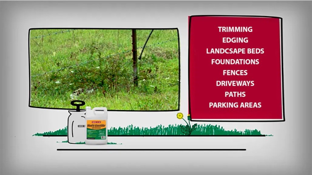 Compare-N-SaveWeed and Grass Killer with Glufosinate - 1Gal