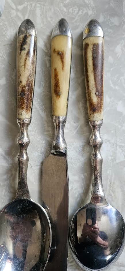 ORVIS 40 Pc Bone Handle Flatware Set