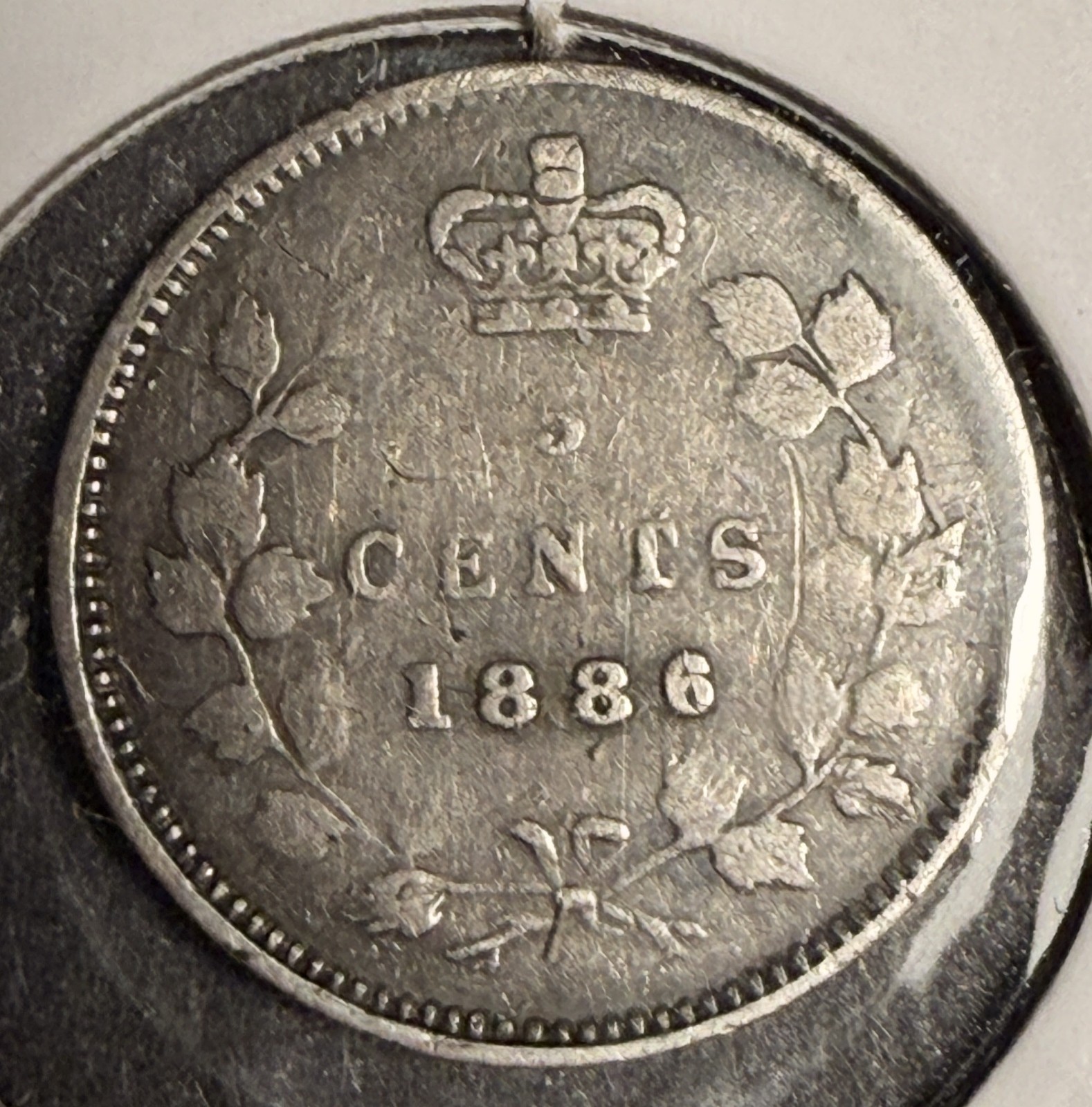1886 Canadian 5ct Silver, VF. (18582)