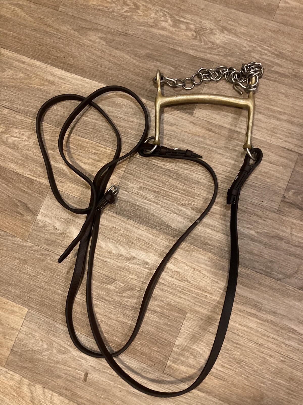 5.5” Mullen Mouth Curb Bit Vintage  W/ Reins