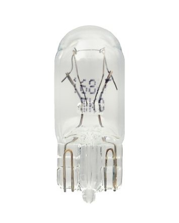 Hella     Hella  168  12V Bulb