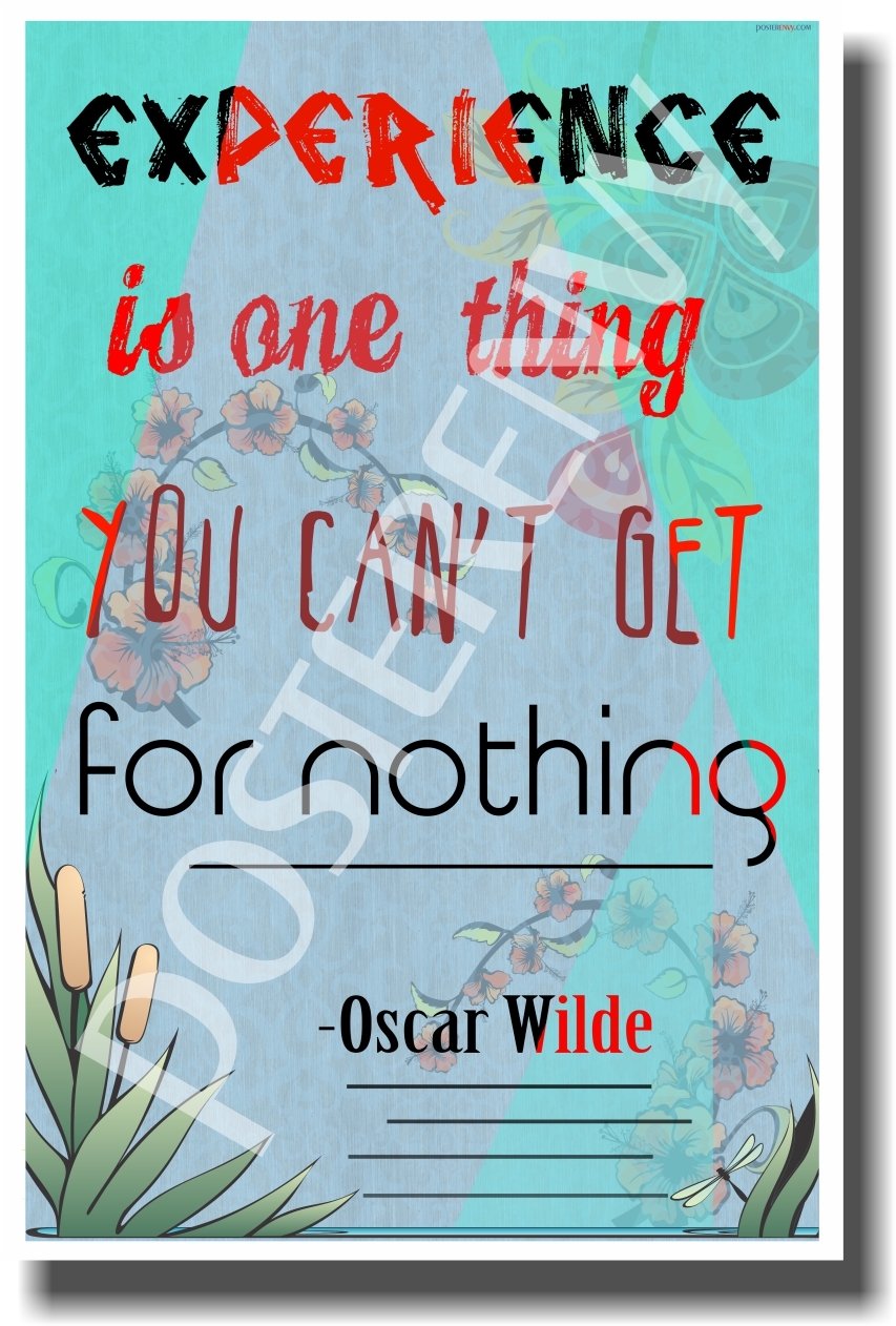 Experience - Oscar Wilde - NEW Classroom Motivational Poster
