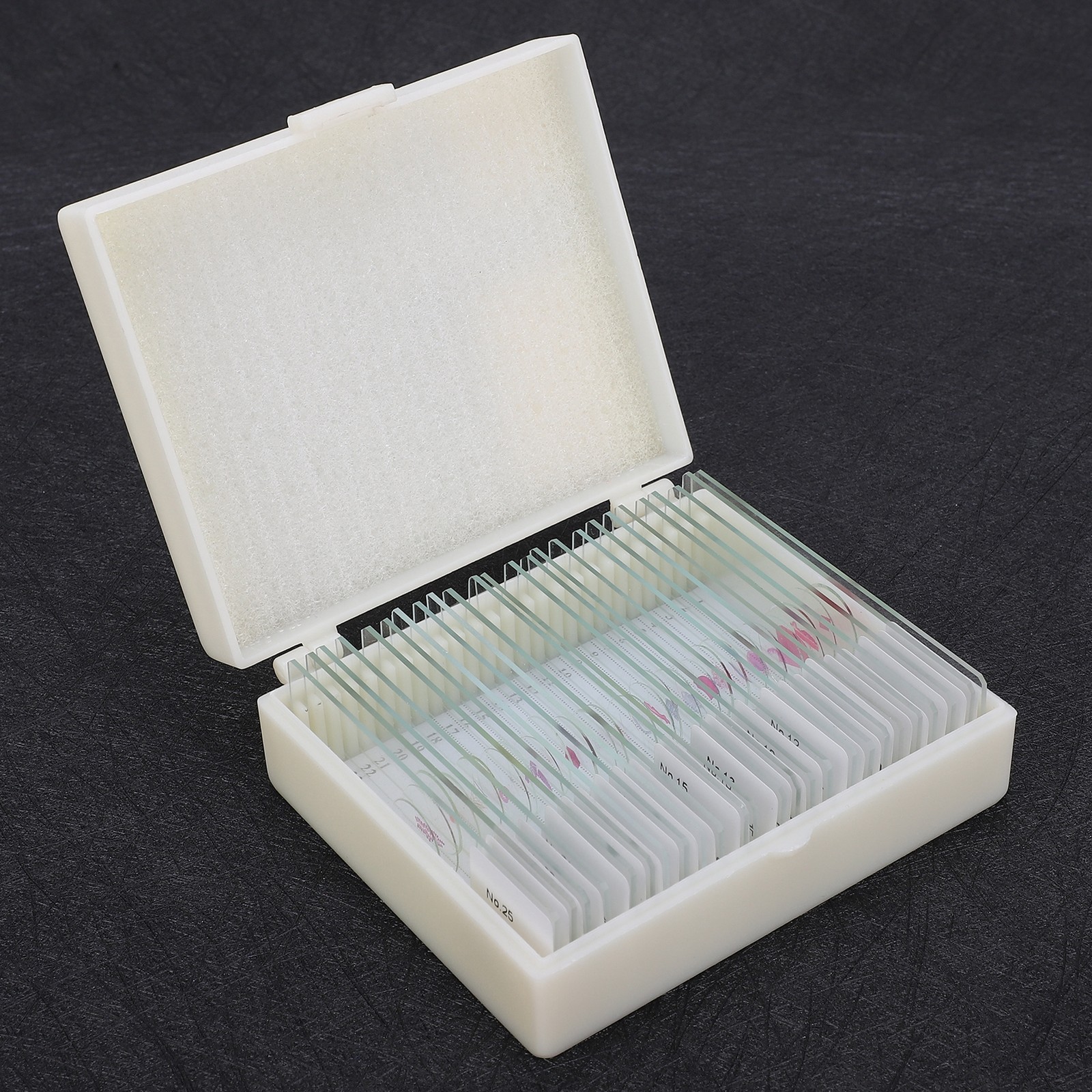 25Pcs Animal Slides Microscope Sample Slides For Science Education Popular