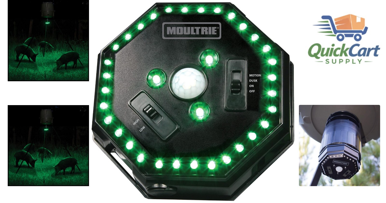 Battery Powered Feeder Hog Light - 30-ft Illumination with Adjustable Brightness