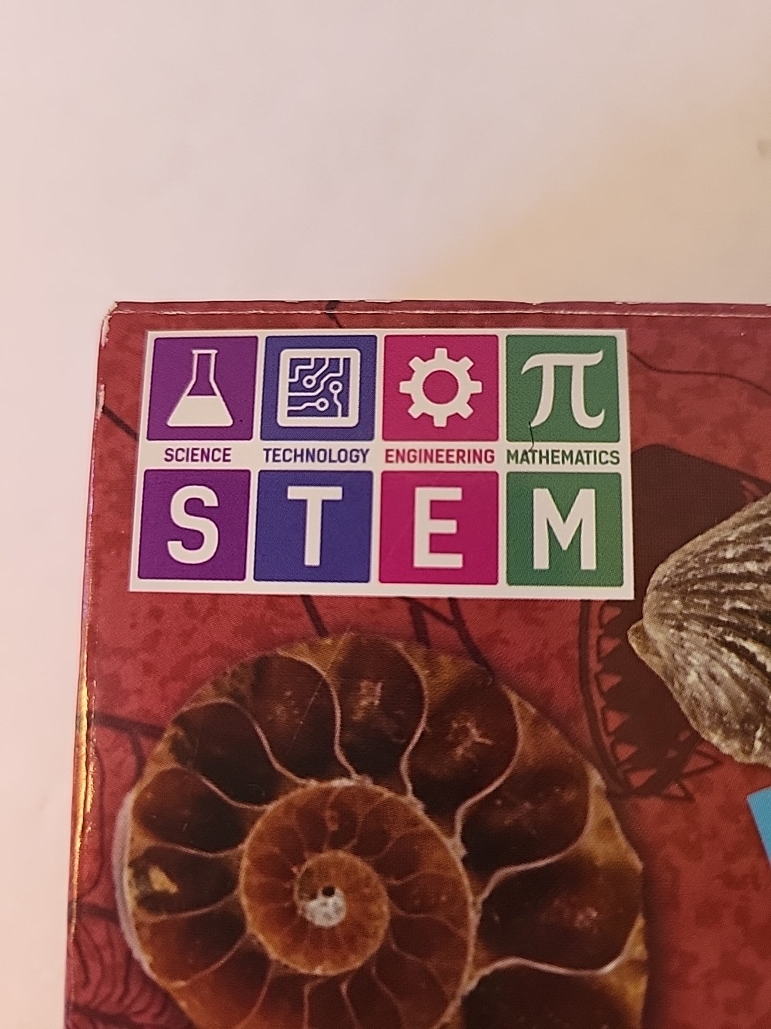STEM Dancing Bear 12pc Fossil Collection New In Box