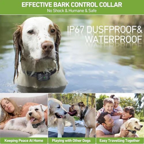 Rechargeable Dog Bark Collar 2 Pack No Shock Waterproof Training Collar