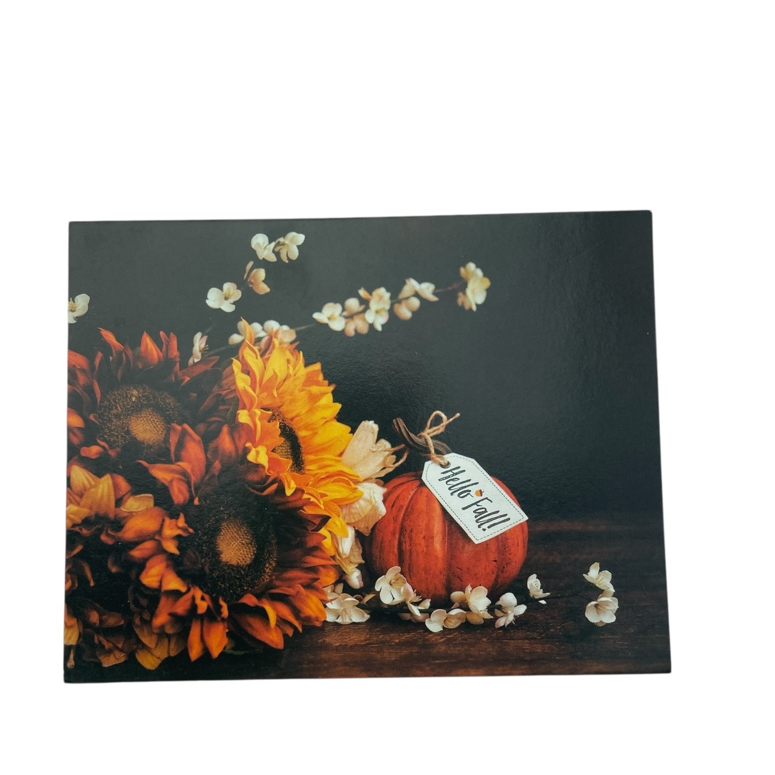 Buffini & Company Hello Fall Stationery Set Fall Pumpkin Floral 20 Cards Envs