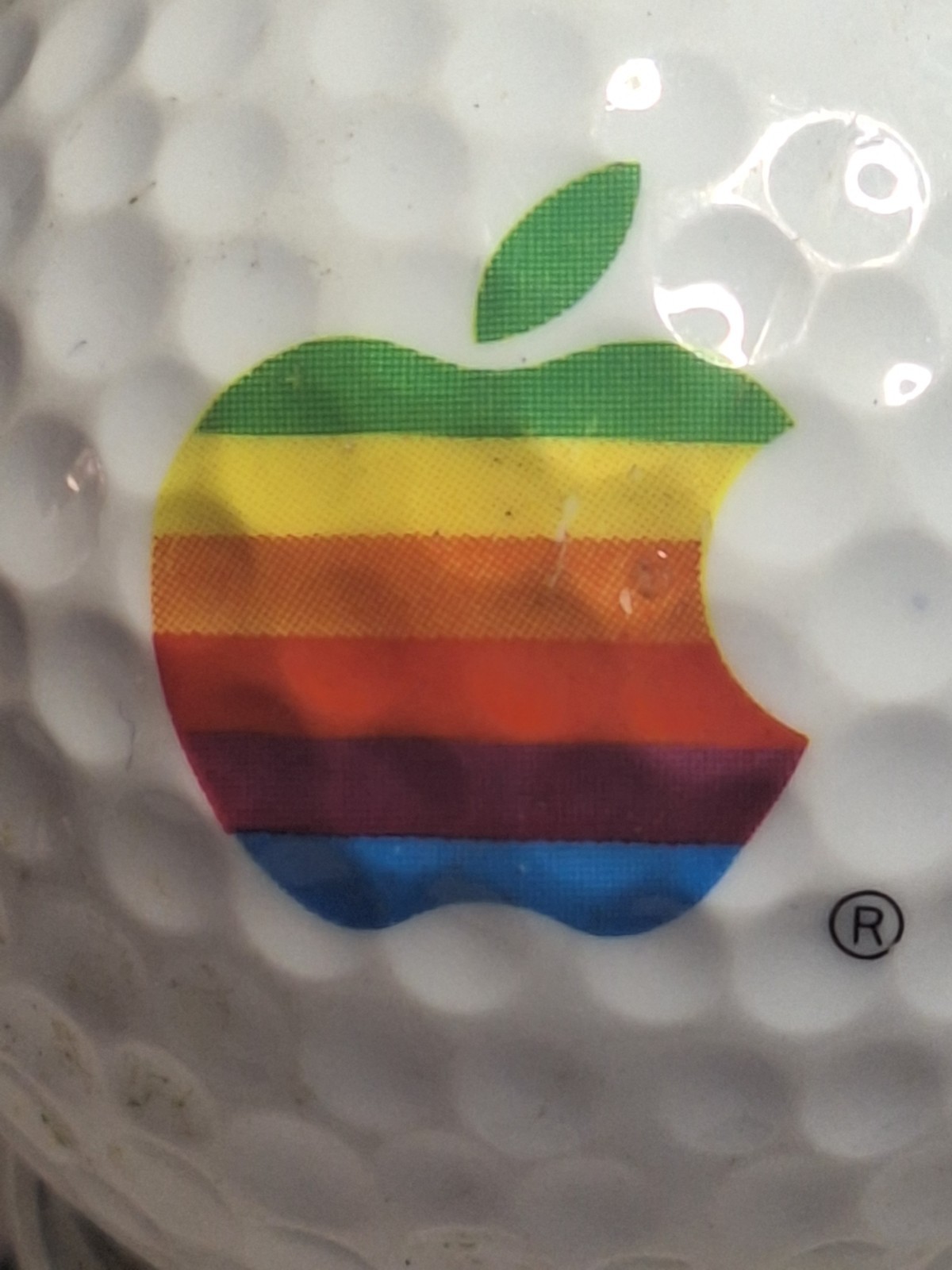Apple Computer Company Logo