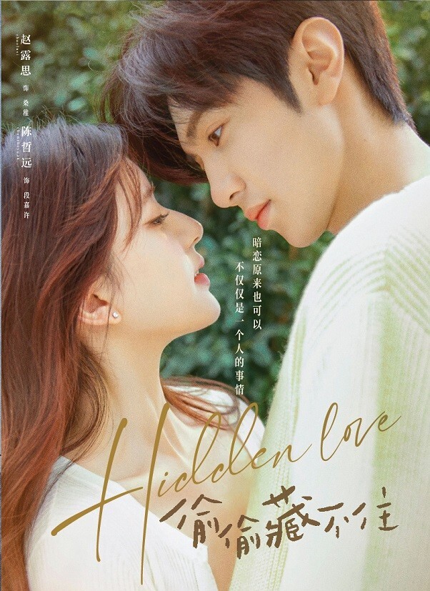 DVD Chinese Drama Hidden Love 偷偷藏不住 (1-25 End) English Subtitle, All Region