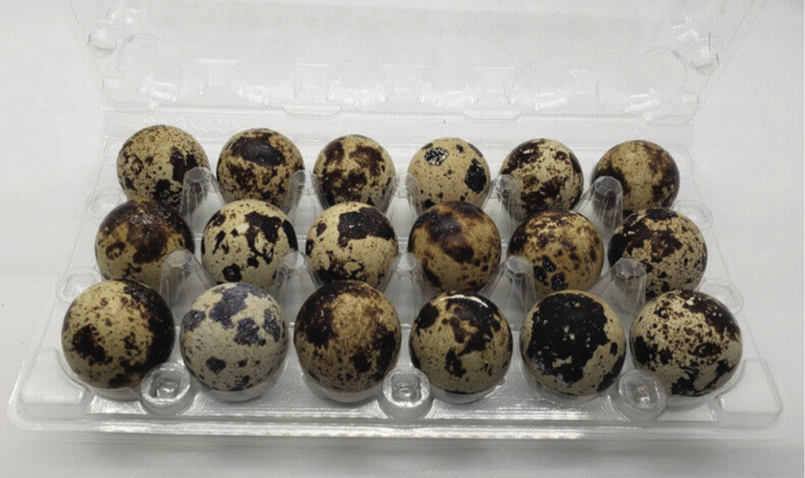 250 Pack Quail Egg Cartons 18 Egg Cell Fast Free Shipping