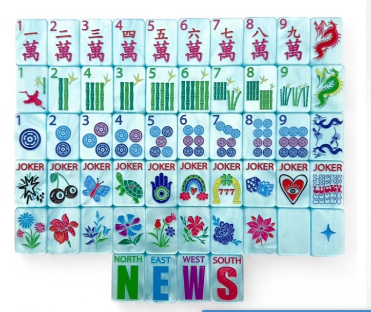 Premium American Mahjong Set 160pcs Safari Sky tiles++ Bag